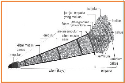 BIOLOGI GONZAGA: CERDAS BIOLOGI