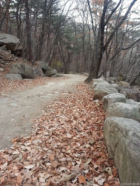 Biseondae Trail