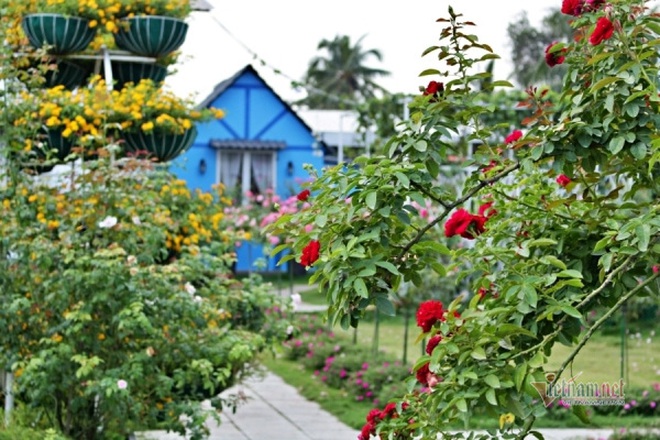 Hình ảnh