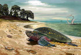 Archelon, la gigantesca tortuga prehistórica