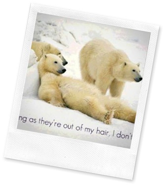 lazy_bears_award