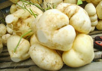 Cara Enak Menurunkan Penyakit Diabetes dengan Bengkuang