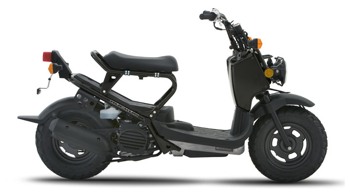 2010 Honda Ruckus 50 Scooter