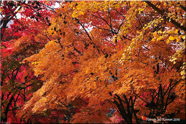 Autumn Korea1