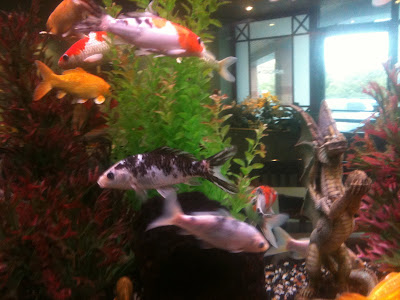 Fish at the Mandarin restaurant photographed by Ana Tirolese