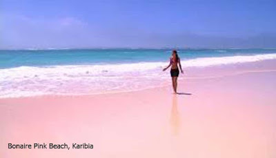 Bonaire Pink Beach, Karibia