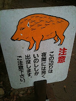 Beware of wild boar!!