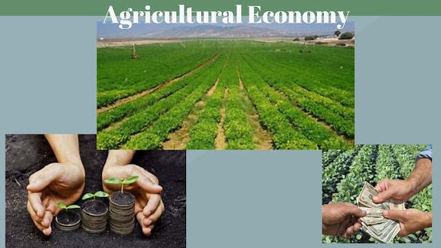 4 Major causes of low Agricultural productivity in India,  Measures  to increase productivity , agricultural productivity, AGRICULTURAL ECONOMY