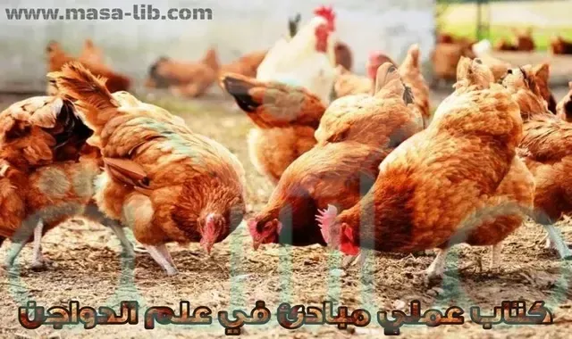 مبادئ في علم الدواجن عملي