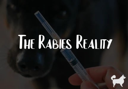 The Rabies Reality