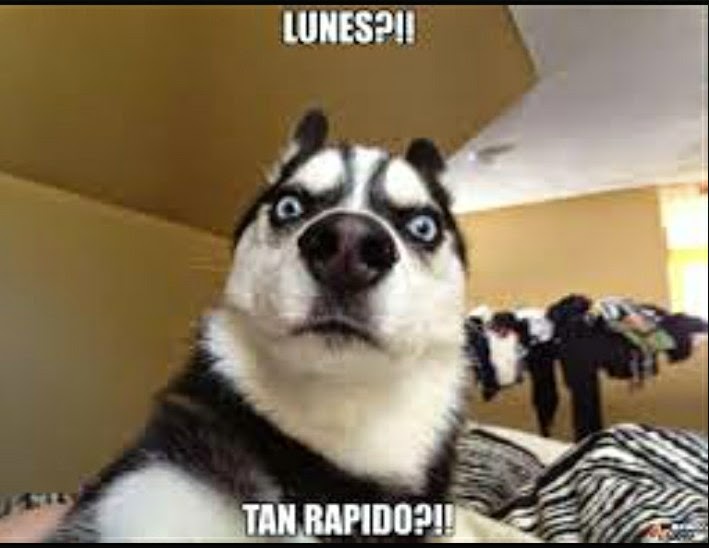 Imagenes chistosas de los lunes para descargar