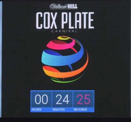 cox plate_countdown 1