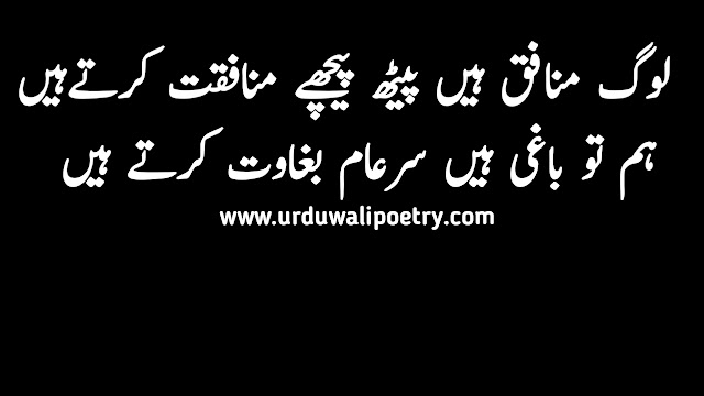 Attitude Poetry in Urdu 2 lines text 2023 | attitude poetry in urdu