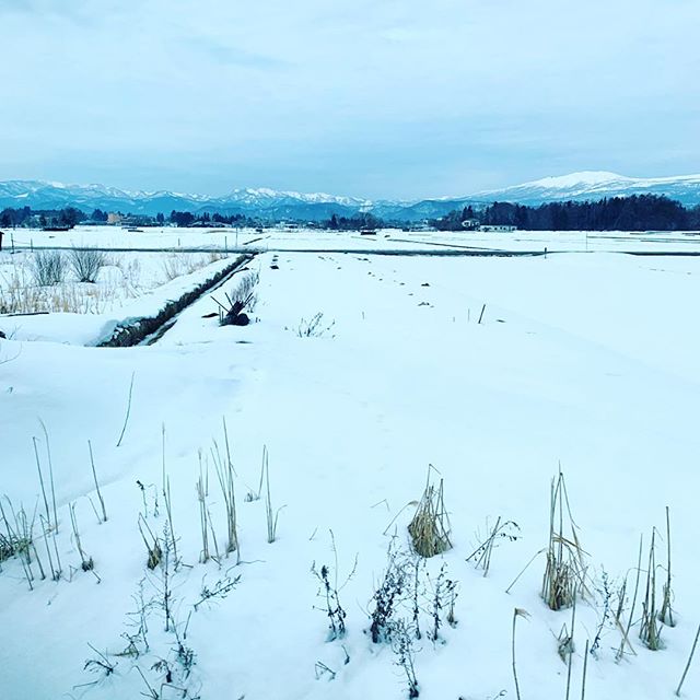 雪国的風景