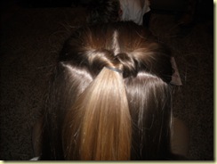 hair do 004