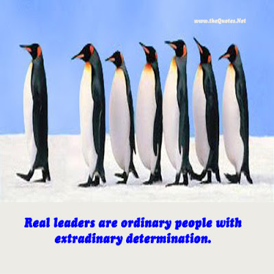 Leadership Quotes