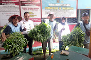 Pemanfaatan Lahan, Ruta Prabumulih Panen Sayur Mayur 