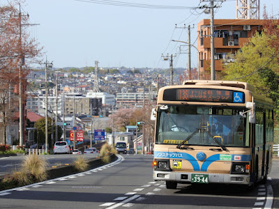 中山中学校入口