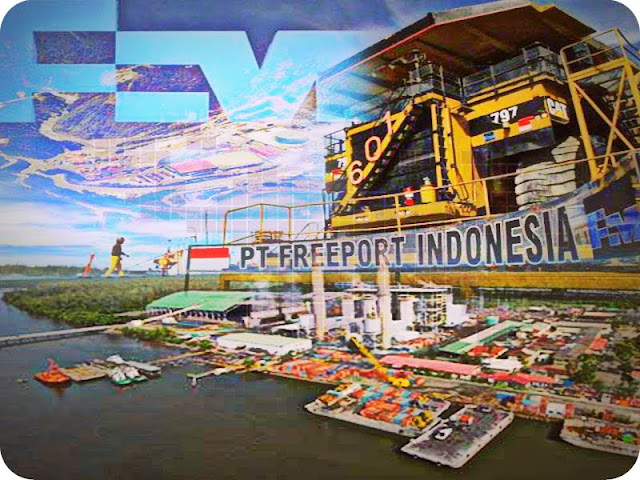 Ini Alasan Freeport Belum Ajukan Izin Ekspor Konsentrat