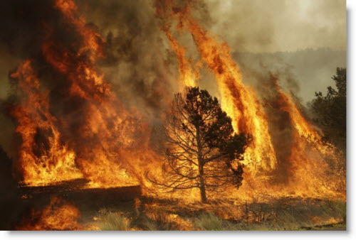 http://www.frugal-cafe.com/public_html/frugal-blog/frugal-cafe-blogzone/wp-content/uploads/2011/06/wallow-fire-arizona.jpg