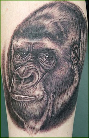 Latest Animal Tattoos Design 2012