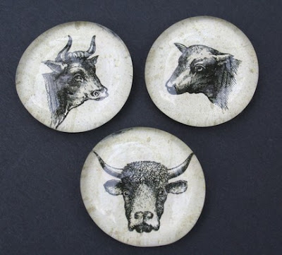 cow head magnets - set of three