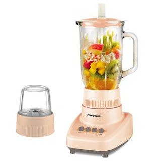 Máy xay sinh tố Kangaroo KG 304