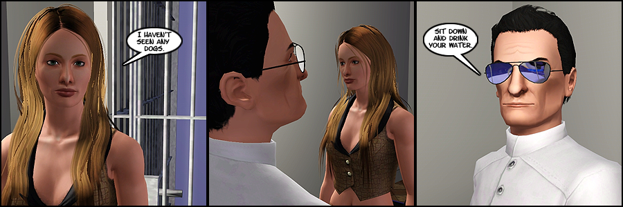 Strip13