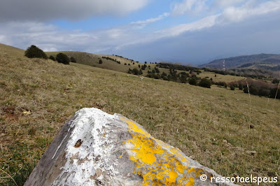 Ruta circular a serra Cavallera des de Camprodon