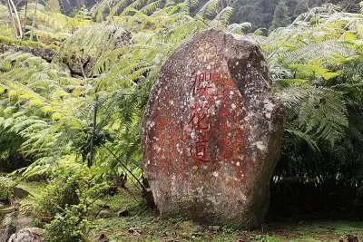 台灣賞櫻花景點-秘境資訊