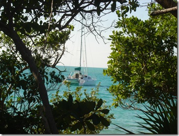 Shroud Cay,Bahamas 066