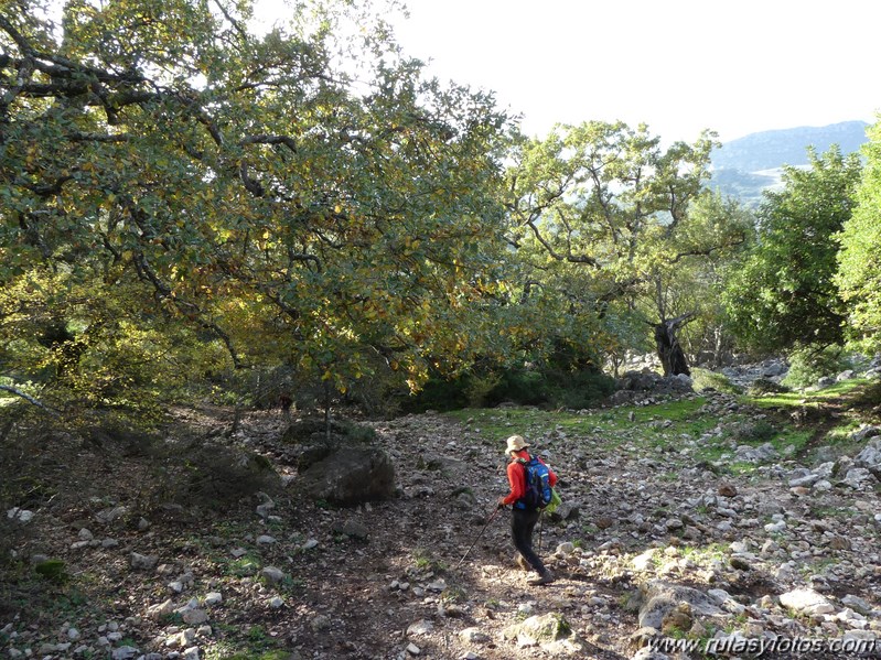 Ubrique - Puntal de la Raya