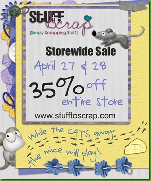 sts-flyer