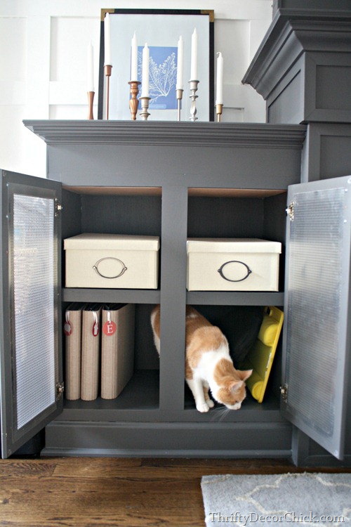 built ins by fireplace