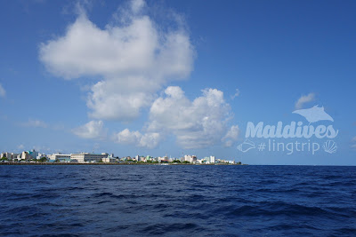 Male Maldives