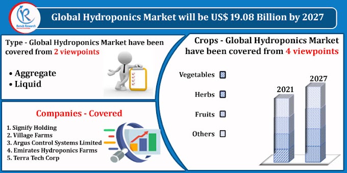 Hydroponics Market, Industry Trends by Type, Companies, Forecast by 2027