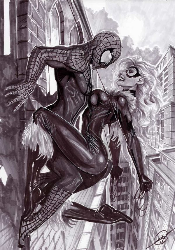 spiderman black cat by nebezial