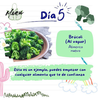 Alieto complementario5, Brocoli al vapor