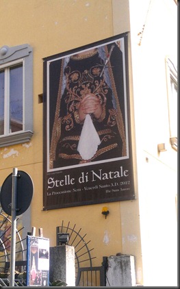 stelle di natale nera