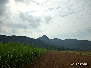 石垣島の野底岳 風景写真