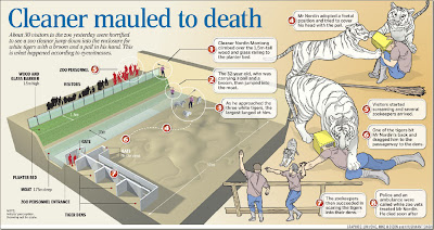 Singapore  Incident Pictures on Incident  Vaulted A Low Wall And Landed In A Moat In The Enclosure