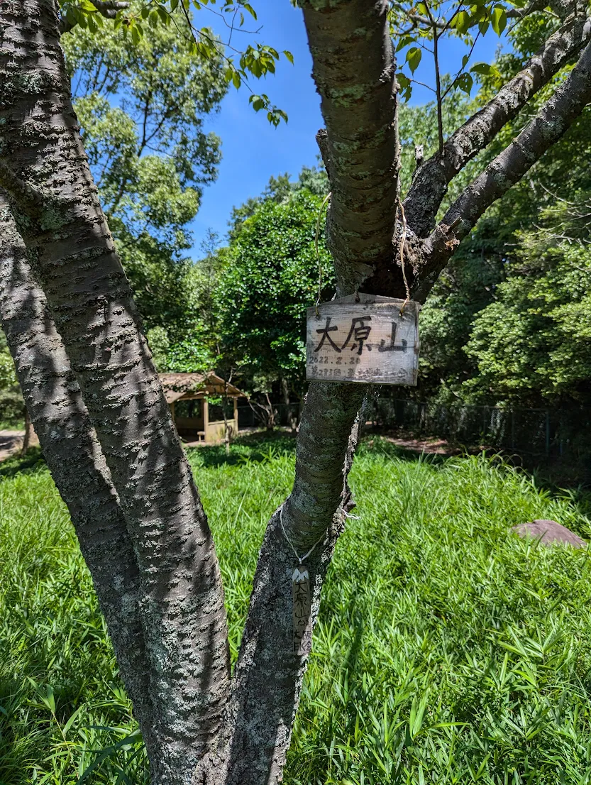 山頂画像