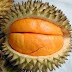 MUSIM_BUAH DI NEGERI KAMI : EDISI BUAH PAPAKIN