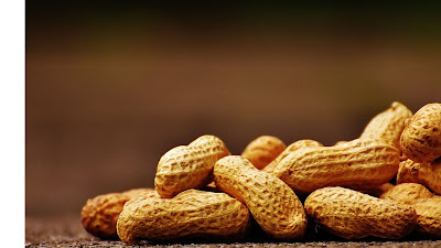 Fakta atau Mitos? Apakah Kacang Benar-benar Menyebabkan Jerawat? Simak Penjelasannya!