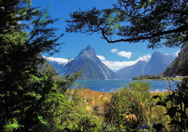 Best Places To Travel in New Zealand