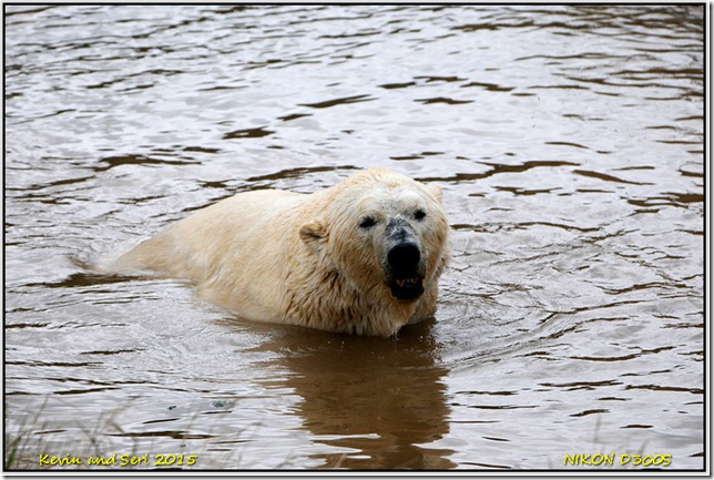 Yorkshire Wildlife Park - August
