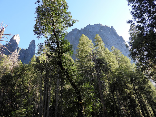 Day 7 - Yosemite (1)