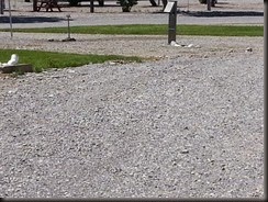 20140607_113318 (640x480)