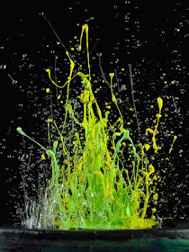 Green Pear Diaries, fotografía, Martin Klimas, Sound Sculptures