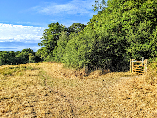 Footpath on Walk 1: The North Mymms Loop